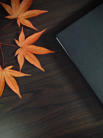 Book and Maple Leafの写真素材