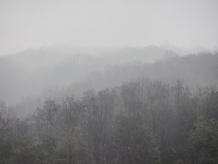 Autumn mountain fogの写真素材