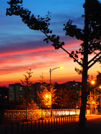 South Korea Street lamp at dusk