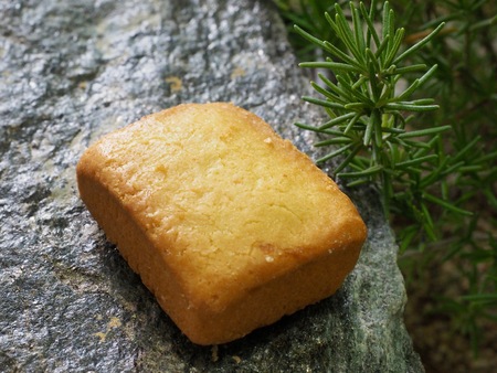 Square pieの写真素材