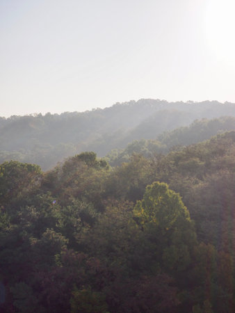 Korea's Autumn Morning Mountain
