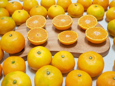 Fresh Korean fruit Jeju citrus, mandarin, tangerineの写真素材