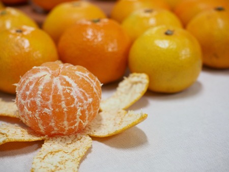 Fresh Korean fruit Jeju citrus, mandarin, tangerineの写真素材