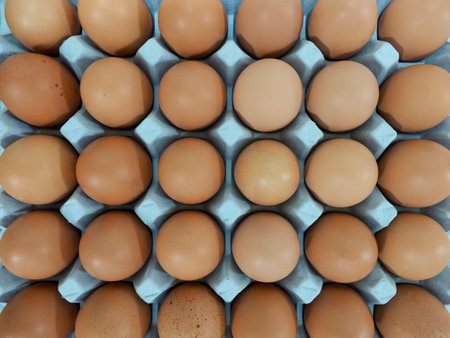 Eggs in a basket and a fresh egg