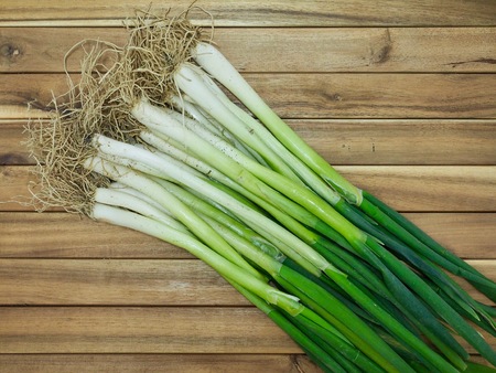 Fresh organic vegetables Welsh onionの写真素材