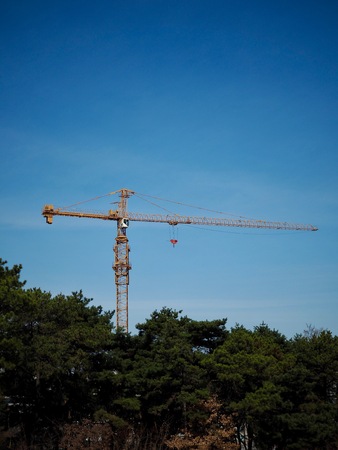 Construction Equipment Tower Cranesの写真素材