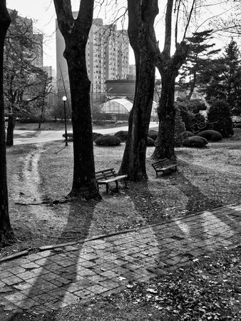 Cheongju city park bench in Koreaの写真素材