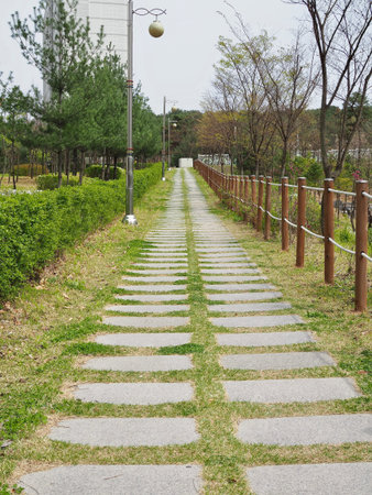 Forest road in Cheongju city, Korea
