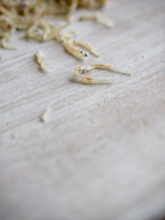 Asian food Dried anchovyの写真素材