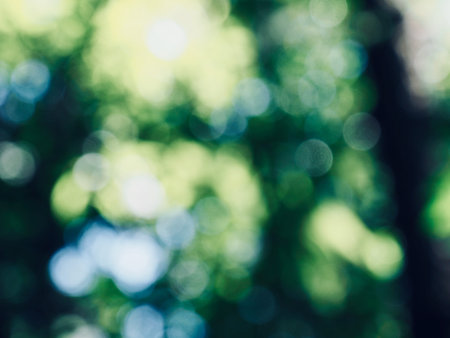 Leaf bokeh in the forest, missed focus