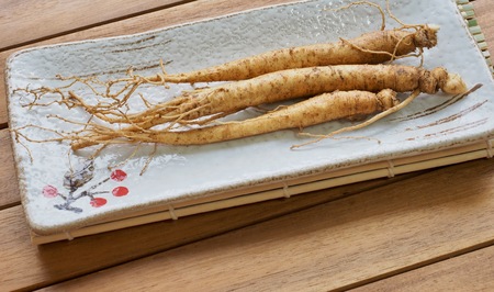 Korean food Fresh Ginseng, sesameの写真素材