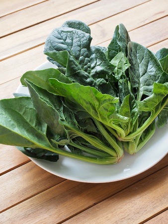 Fresh vegetables spinachの写真素材