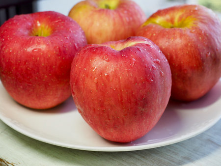 Autumn apple of Koreaの写真素材