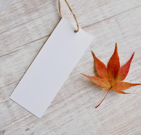 Clothing labels and maple leaves