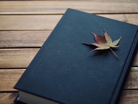 Book and Maple Leafの写真素材