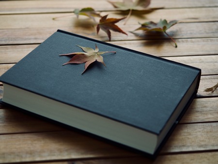 Book and Maple Leafの写真素材