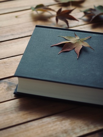 Book and Maple Leafの写真素材