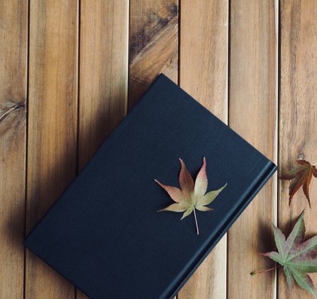 Book and Maple Leafの写真素材