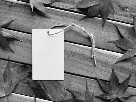Clothing labels and maple leaves, Black and white photoの写真素材