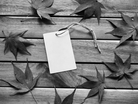 Clothing labels and maple leaves, Black and white photoの写真素材