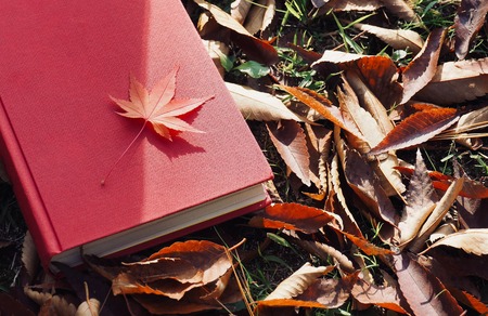 Books and autumn maple leavesの写真素材