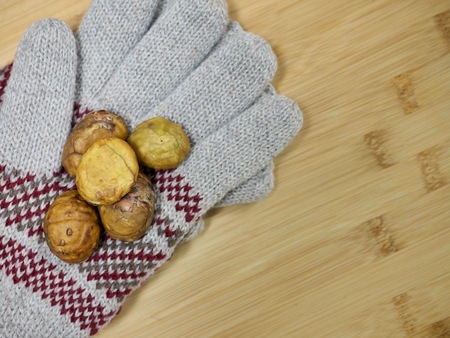 Korean food roast chestnuts, gunbamの写真素材