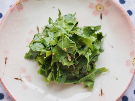 Korean food Seasoned Pigweed,の写真素材