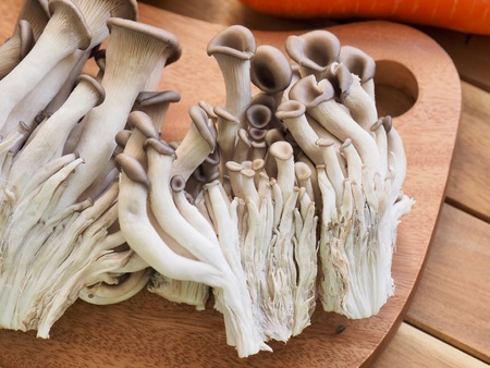 Oyster mushroom and vegetables, carrots, onionsの写真素材