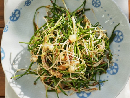 Korean food ingredients wild chive Soy sauce seasoningの写真素材