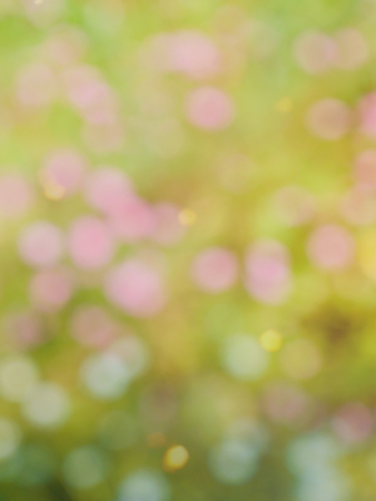 Leaf bokeh in the forest, missed focusの写真素材