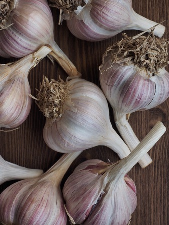 Korean food ingredients Fresh organic garlic, Wood board and garlicの写真素材