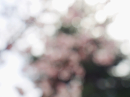 Abstract background of forest bokeh, missed focusの写真素材