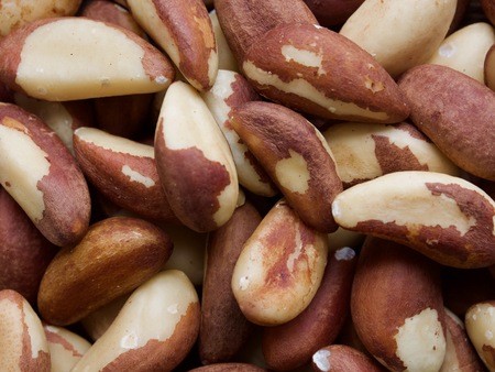 Brazil nuts on wooden boards, nutsの写真素材