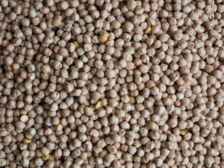Korea's fresh organic beans, Cicer arietinum