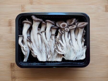 Fresh organic mushroom, Oyster mushroomの写真素材
