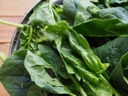 Korean Fresh organic vegetable spinachの写真素材