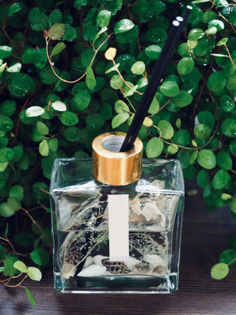 Leaf and diffuser, glass bottle, Leaf and fragrance