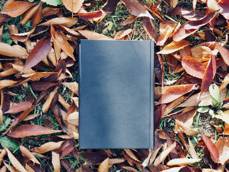 Books and autumn maple leaves