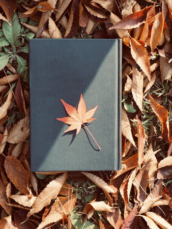 Books and autumn maple leaves