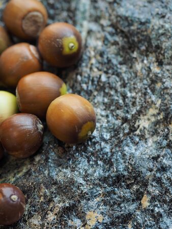 Korean Organic Acorns, Wellness foodの写真素材