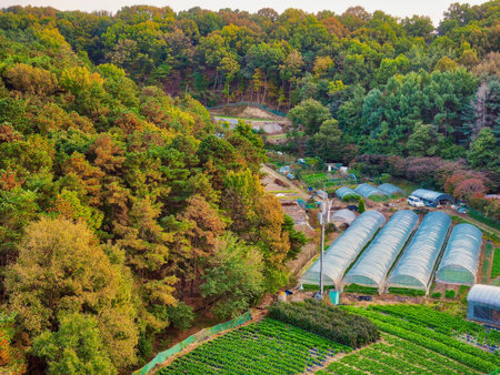 Autumn rural landscape in Korea