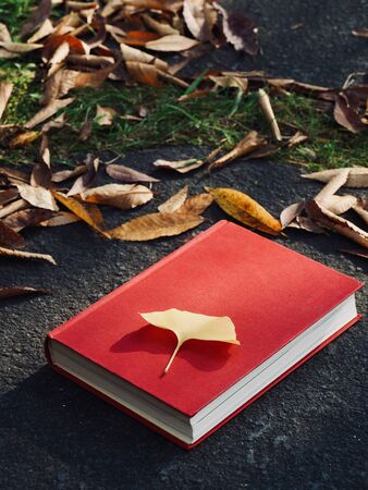 Books and autumn maple leaves, Ginkgo leaves, fallen leavesの写真素材