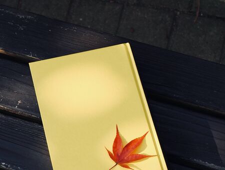 Yellow book and autumn maple leavesの写真素材