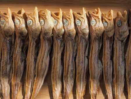 Korean dried fish little pollack, Nogariの写真素材