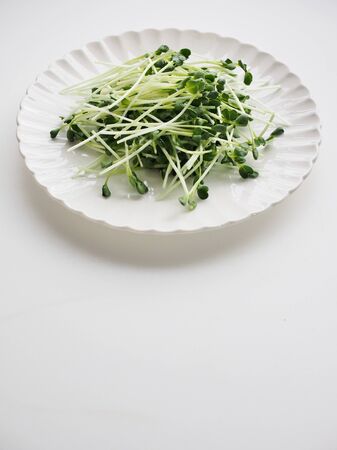 Fresh organic vegetables radish sproutsの写真素材