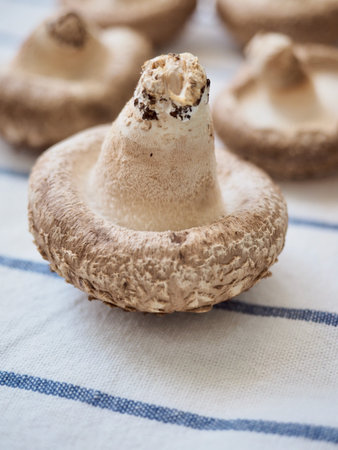 Fresh shiitake mushrooms and vegetables