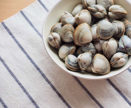 Fresh sea natural food clamの写真素材