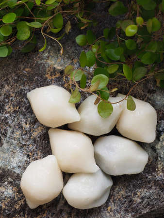 Korean food Songpyeon, rice cakeの写真素材