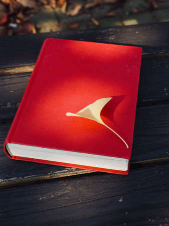 Red book and autumn maple, Ginkgo leavesの写真素材