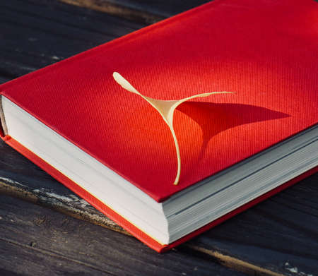 Red book and autumn maple, Ginkgo leavesの写真素材